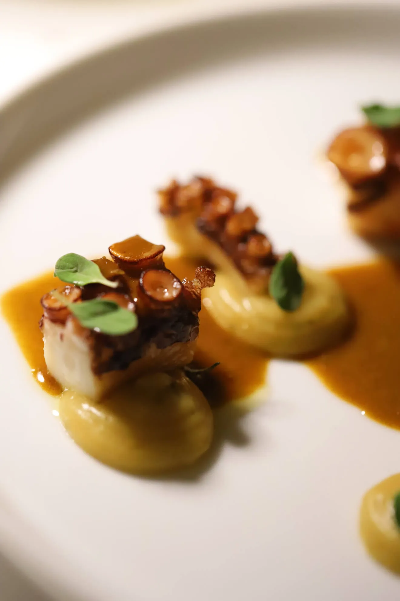 Un piatto di pesce della Degusteria del Gigante